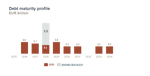 debt maturity profile jan2025