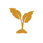 yield improvements small icon