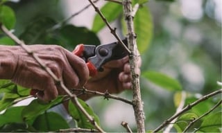 working with farmers to promote sustainable agriculture