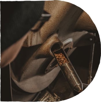 18 lifestyle 0825 roaster tryer copy