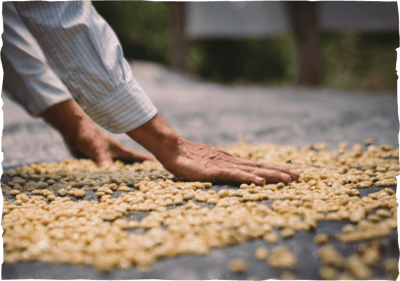 striving towards netzero